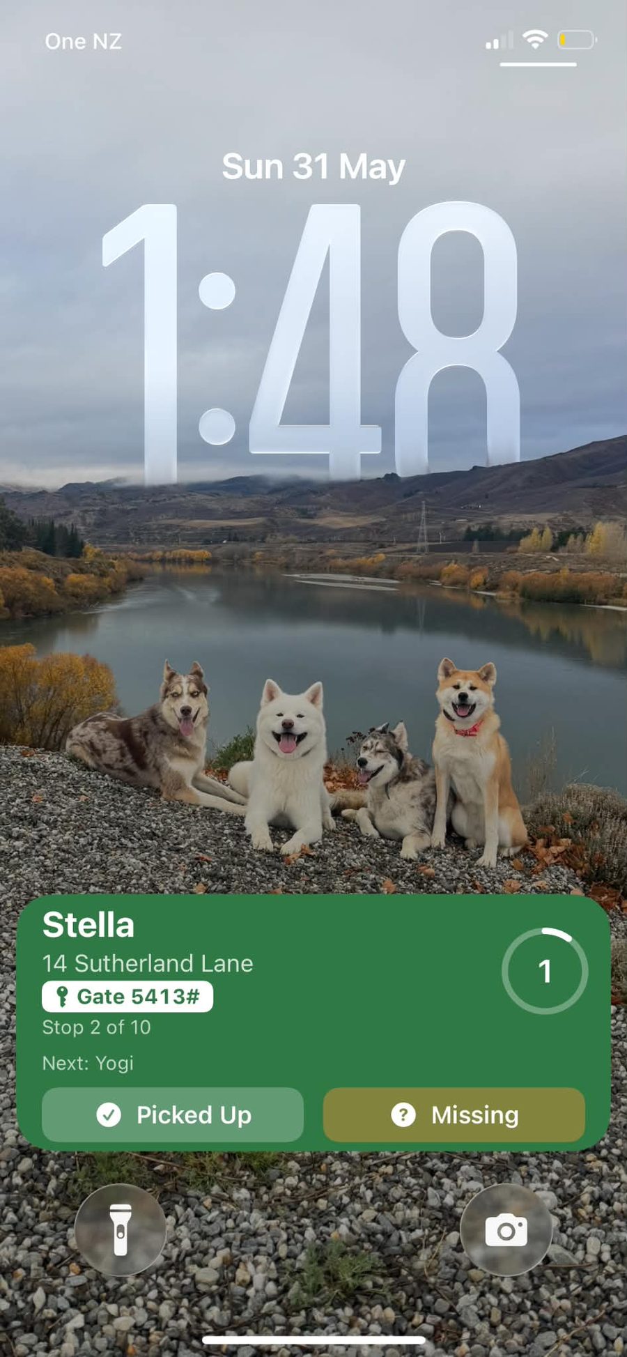 Lock-screen pickup widget showing the next dog with Picked Up / Missing actions