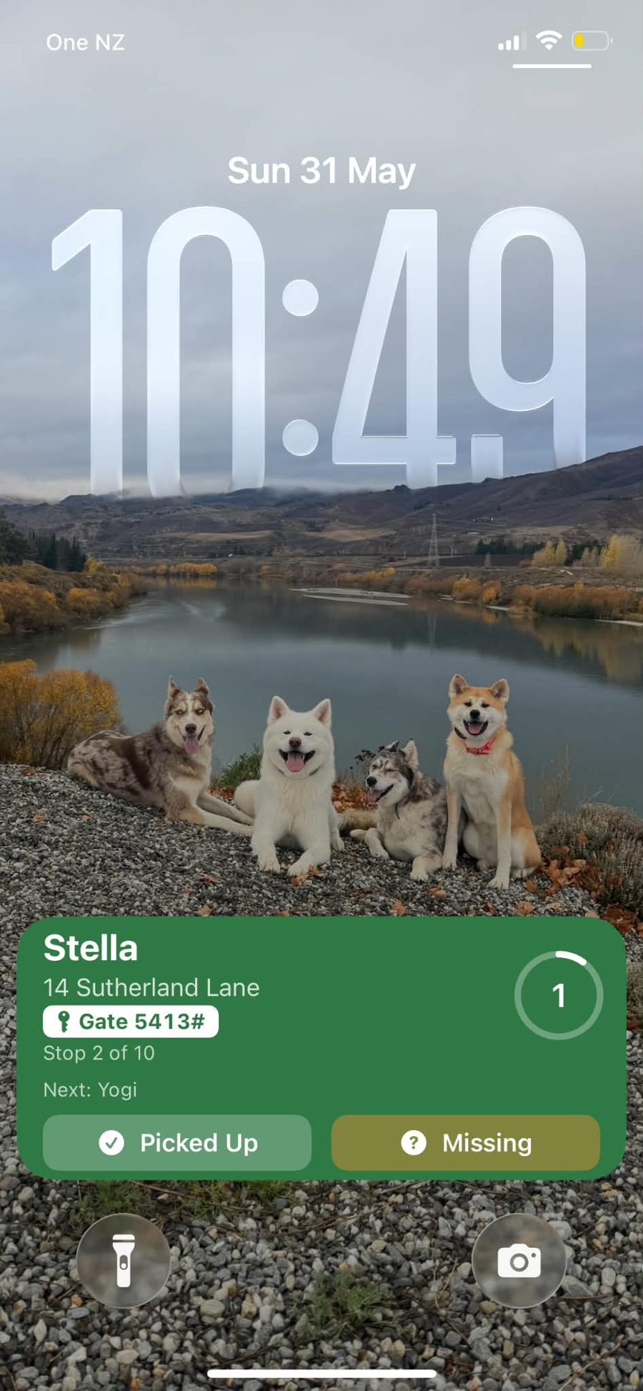 Lock-screen widget: next dog, gate code, Picked Up and Missing buttons