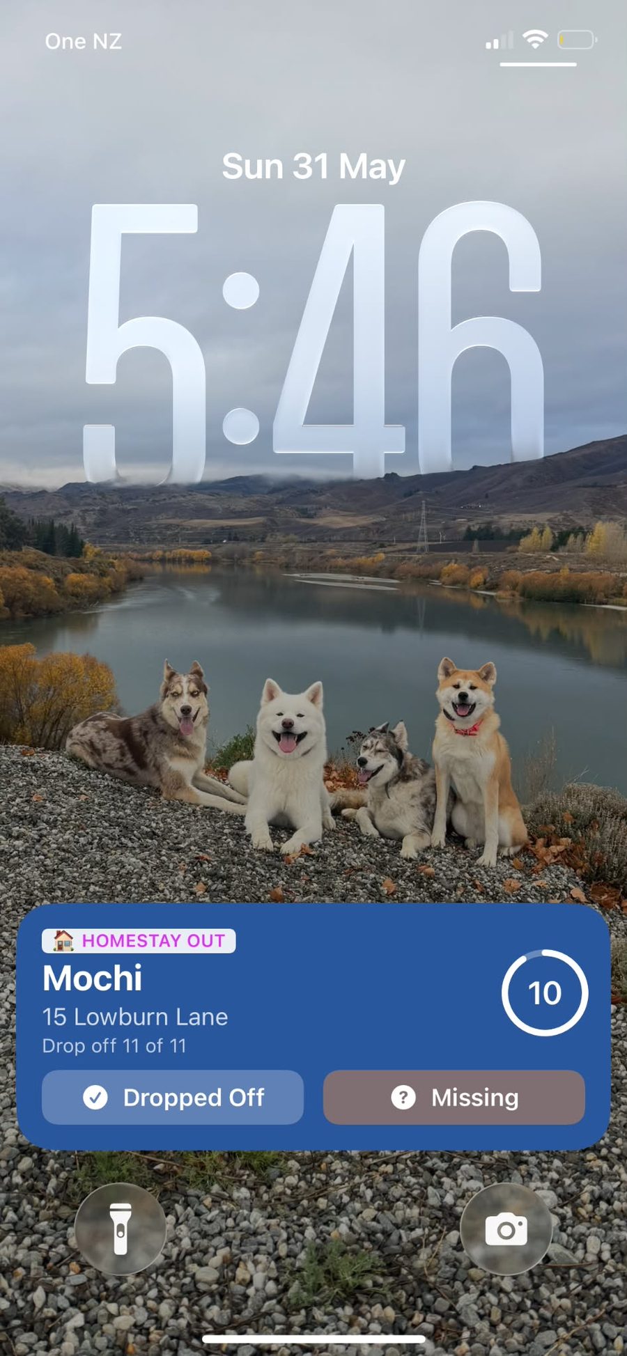 Lock screen widget with HOMESTAY OUT tag